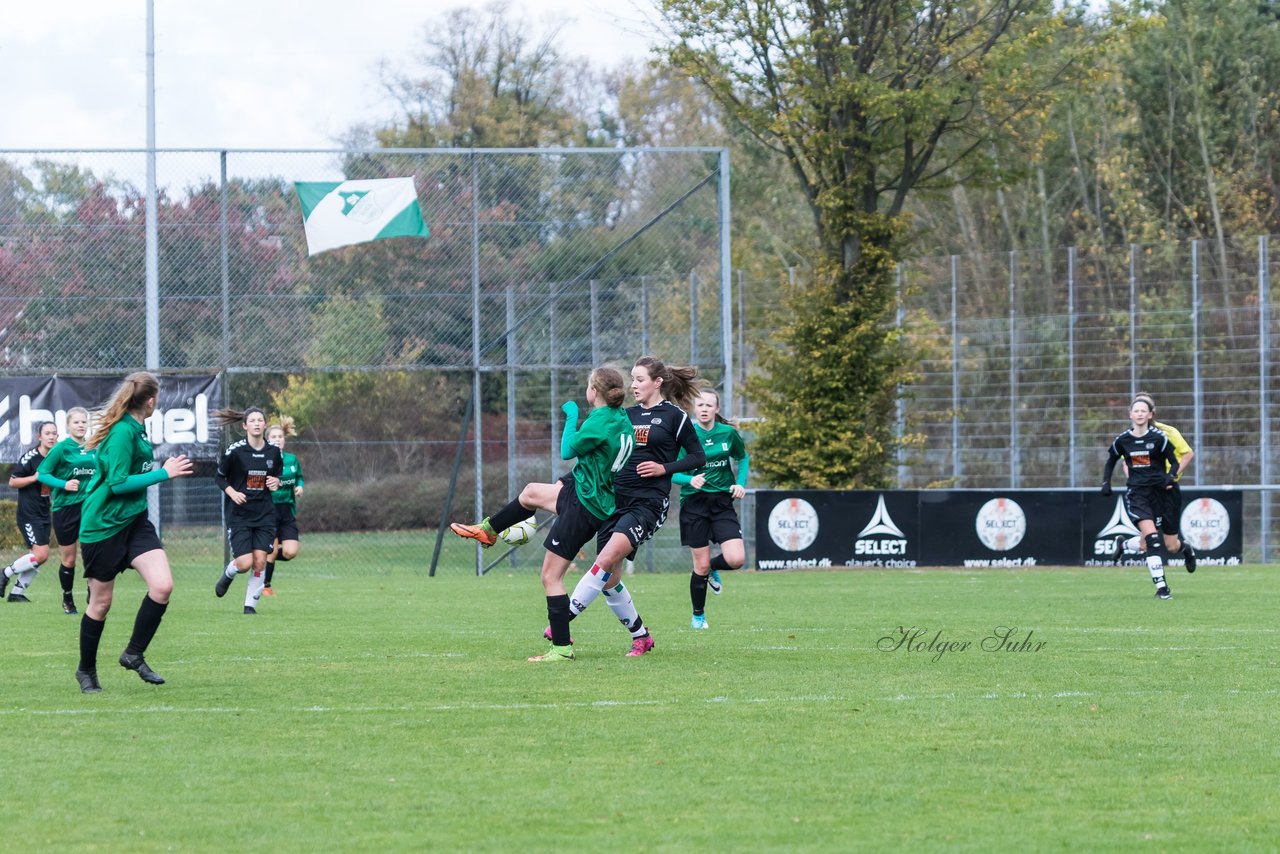 Bild 140 - B-Juniorinnen SV Henstedt Ulzburg - SG ONR : Ergebnis: 14:0